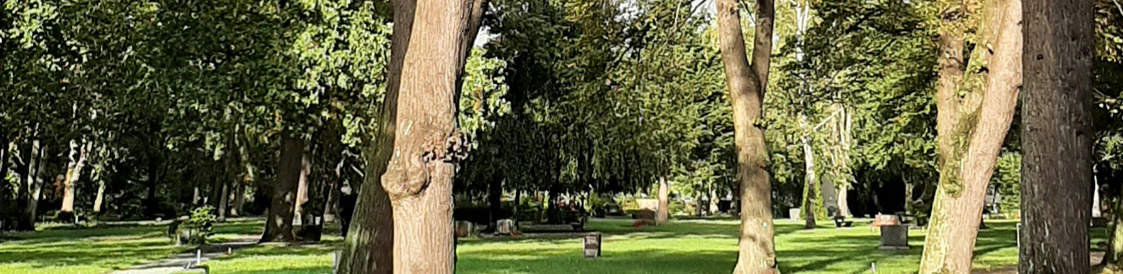 Friedhof Sophien III: Muslimisches Begräbnisfeld (© Friedhof Sophien III)