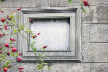 Friedhof Bethlehem I und Böhmischer Gottesacker der Brüdergemeine (Foto © Juliane Bluhm)