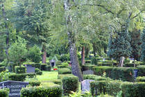 Erdgräber | Friedhof St. Johannis II (Foto © Birgit Böttger)
