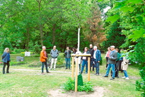 Einweihung der wettergesteuerten Regenwasserzisterne und Begehung/PK auf den Friedhöfen Landsberger Allee am 14.6.2022 (© Guido Krüßmann)