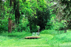 Alter Luisenstädtischer Friedhof: Wasserschale (© Katarina Henkys)