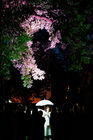 Friedhofsnacht, 21. Juni 2024 (© EvFBS)