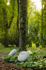 Friedhof Frieden-Himmelfahrt, Himmelswaldgarten: Findlinge, Namen angedeutet, im Sommer (© Mike Raptis/EvFBS) Friedhof Frieden-Himmelfahrt, Himmelswaldgarten: Findlinge, Namen angedeutet, im Sommer (© Mike Raptis/EvFBS)