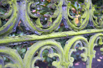 Friedhof St. Elisabeth II (Foto © Juliane Bluhm)