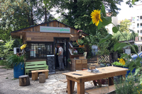 Neuer Friedhof St. Jacobi: Urbanes Gärtnern (© evfbs.de)