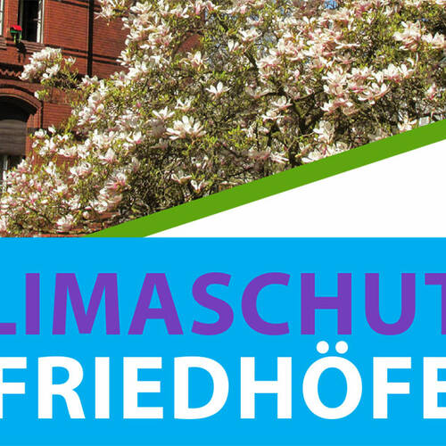 Banner/Text Klimaschutz auf Friedhöfen (© evfbs.de)