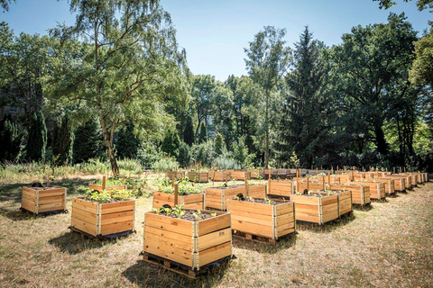 Neuer Friedhof St. Jacobi (© Christian Muhrbeck/EvFBS)