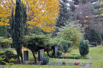Friedhof St. Elisabeth II (Foto © Juliane Bluhm)