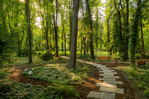 Friedhof Frieden-Himmelfahrt, Himmelswaldgarten: Weg durch die Anlage im Sommer (© Mike Raptis/EvFBS) Friedhof Frieden-Himmelfahrt, Himmelswaldgarten: Weg durch die Anlage im Sommer (© Mike Raptis/EvFBS)