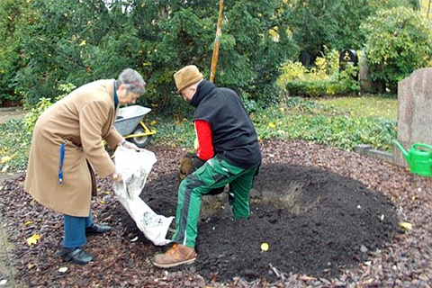 Pflanzung eines "Lutherbaumes" aus Anlass des Reformationsjubiläums (Foto: Yvonne Zimmerer)