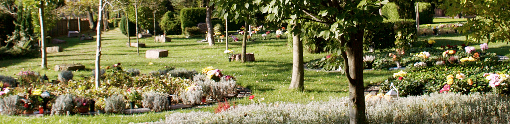 Friedhof St. Andreas-St. Markus (Foto © Juliane Bluhm)
